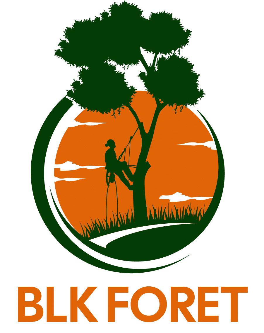 BLK FORET